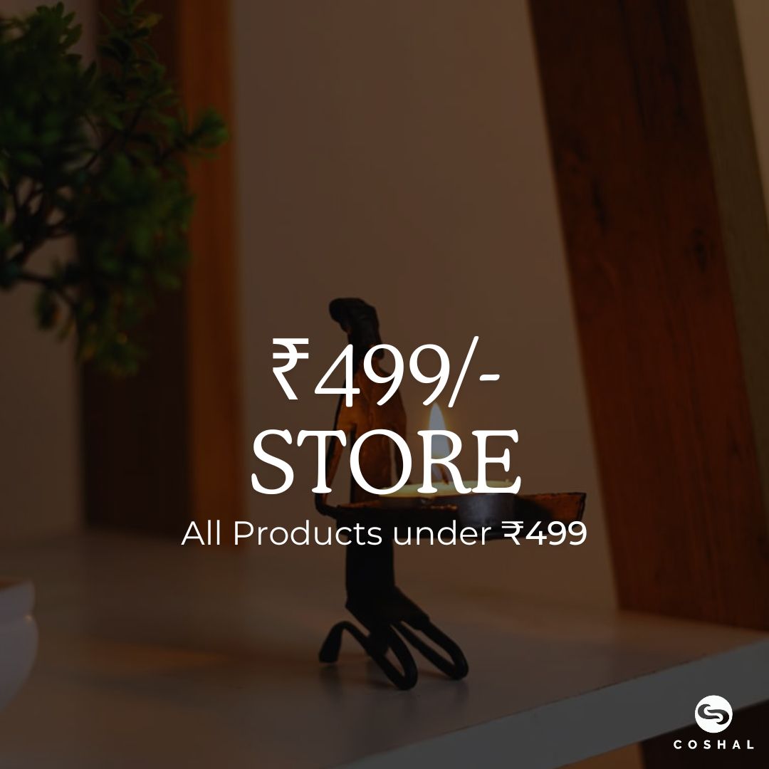 The ₹499 store