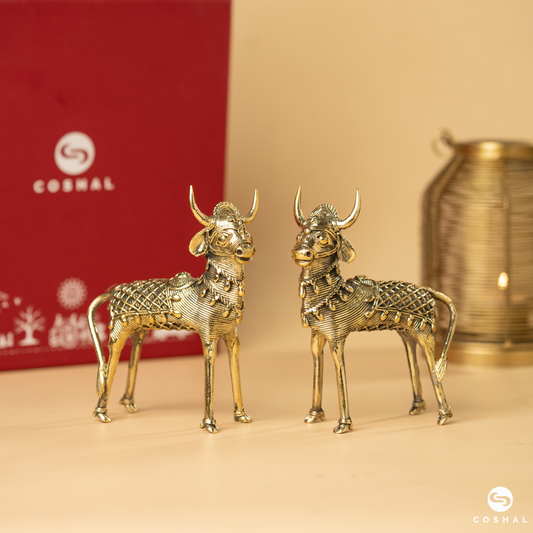 Noble Bull Pair