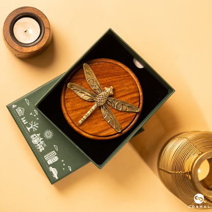 Vibrant Dragonfly Desk  & Wall Plaque