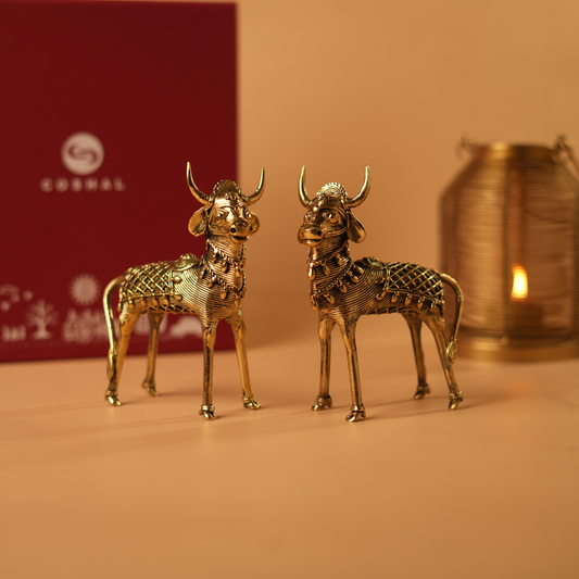 Noble Bull Pair